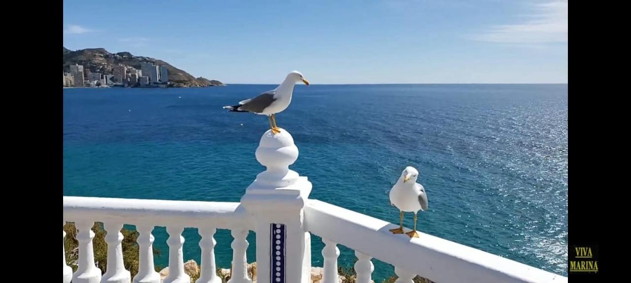 Apartamento Sun Beach 베니돔 외부 사진