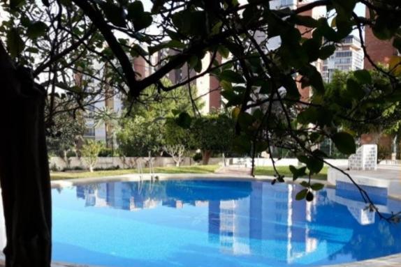 Apartamento Sun Beach 베니돔 외부 사진